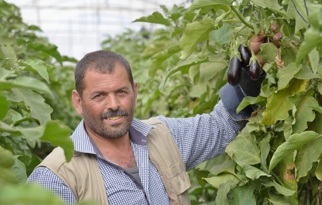 Man in greenhouse