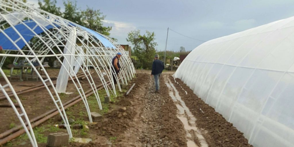 Greenhouse from outside