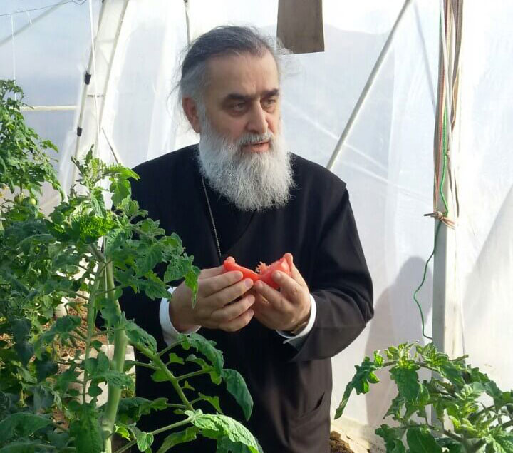 Inside greenhouse