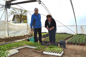 Nikola & Rajka with seedlings in greenhouse