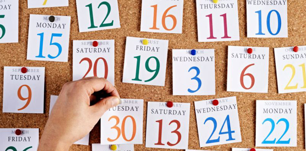 Help us plan Fall Events